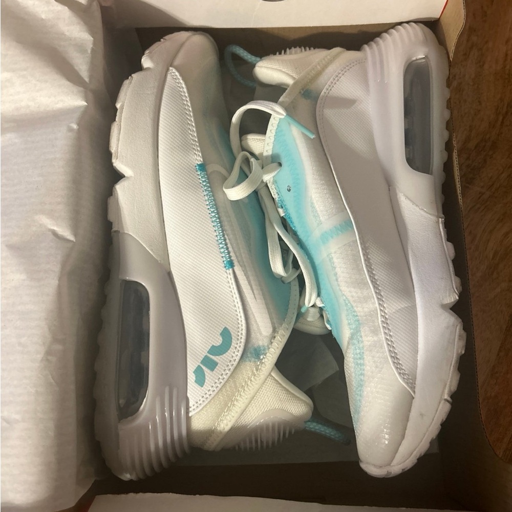 Nike air max 2090
